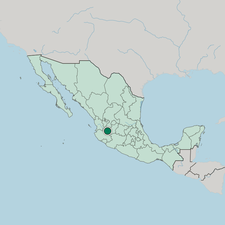 Map showing Zapopan — In Mexico