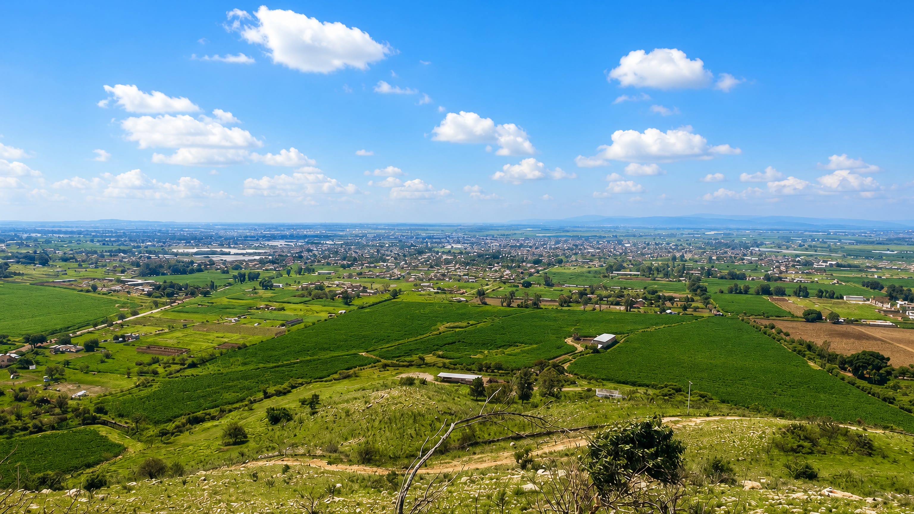 Green farm fields of the Tesistan valley running to the low rooftops of San Francisco Tesistan, Zapopan