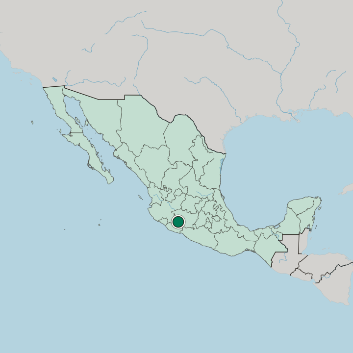 Map showing Apatzingán — In Mexico