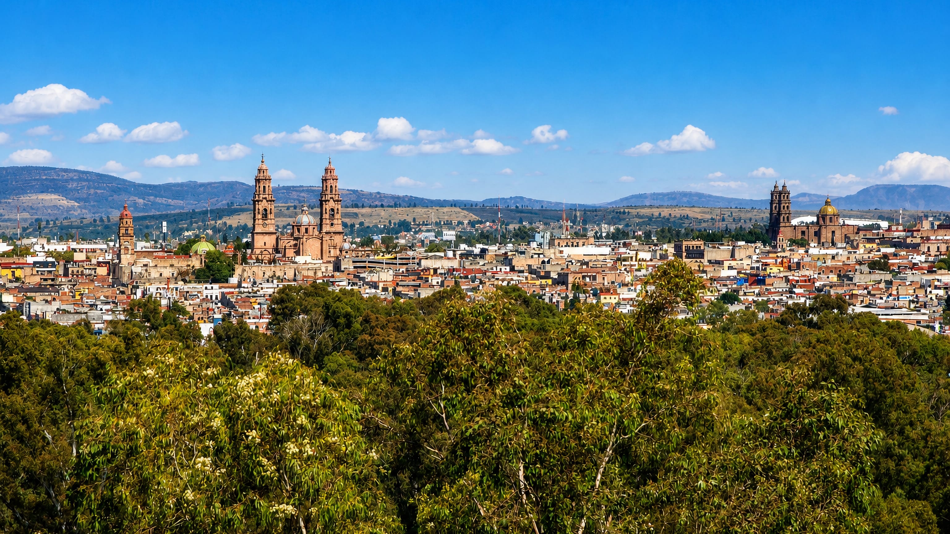 Morelia, Mexico, seen over eucalyptus treetops, the pink-stone cathedral's twin baroque towers on the skyline.