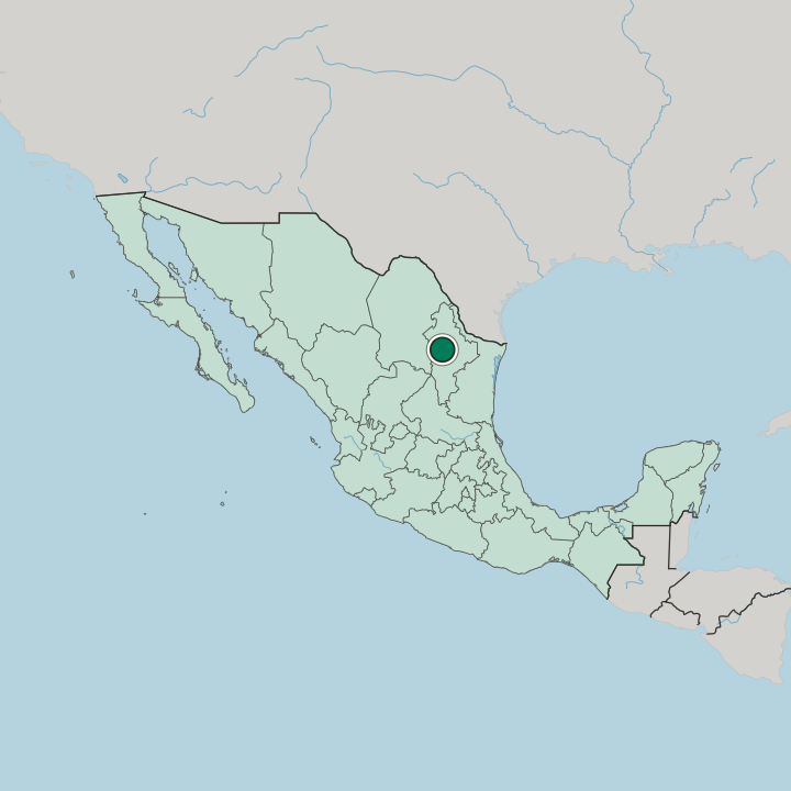 Map showing Guadalupe — In Mexico