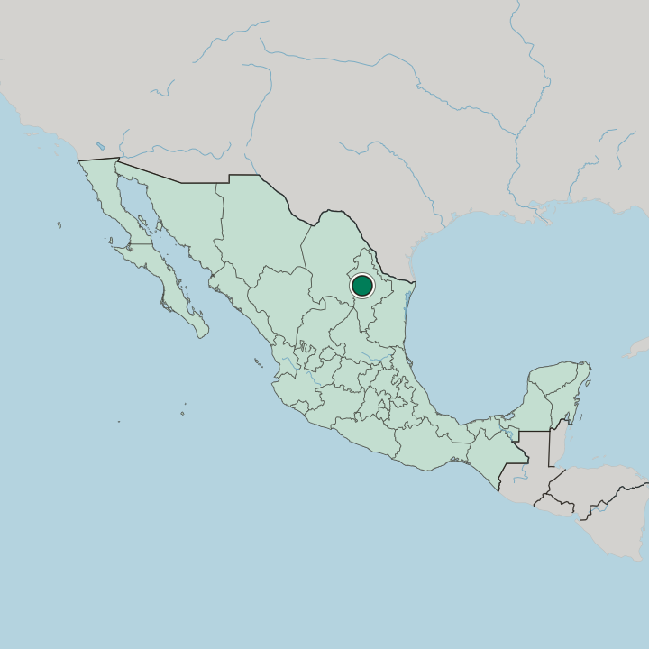Map showing San Nicolás de los Garza — In Mexico