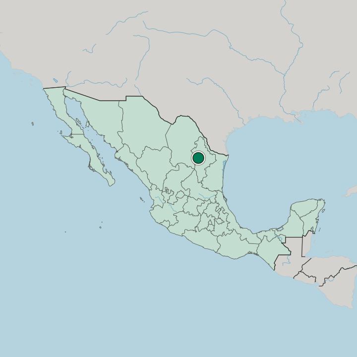 Map showing San Pedro Garza García — In Mexico