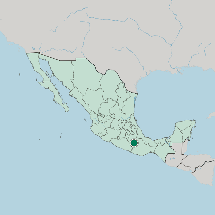 Map showing Ciudad de Huajuapan de León — In Mexico