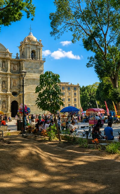 Oaxaca's Metropolitan Cathedral seen across the tree-shaded Alameda plaza with market crowds, Mexico
