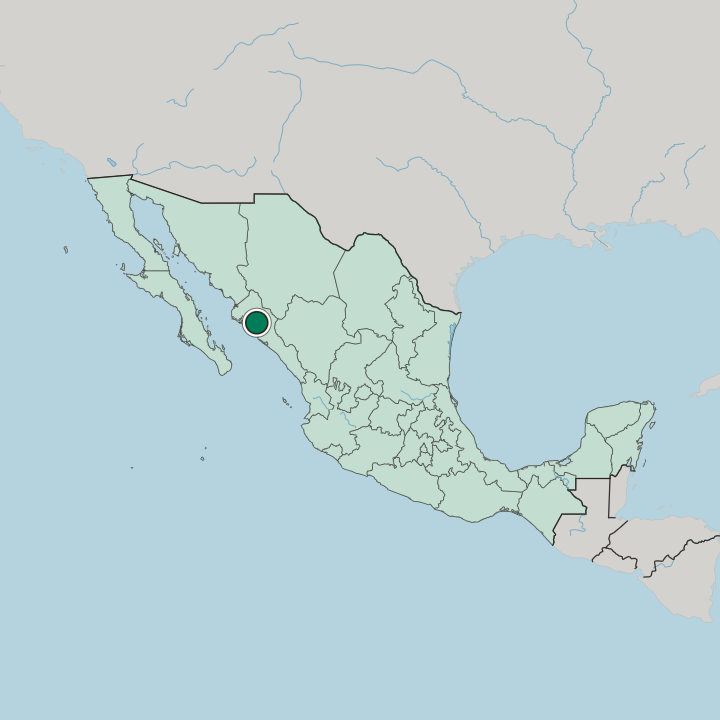 Map showing Guamúchil — In Mexico