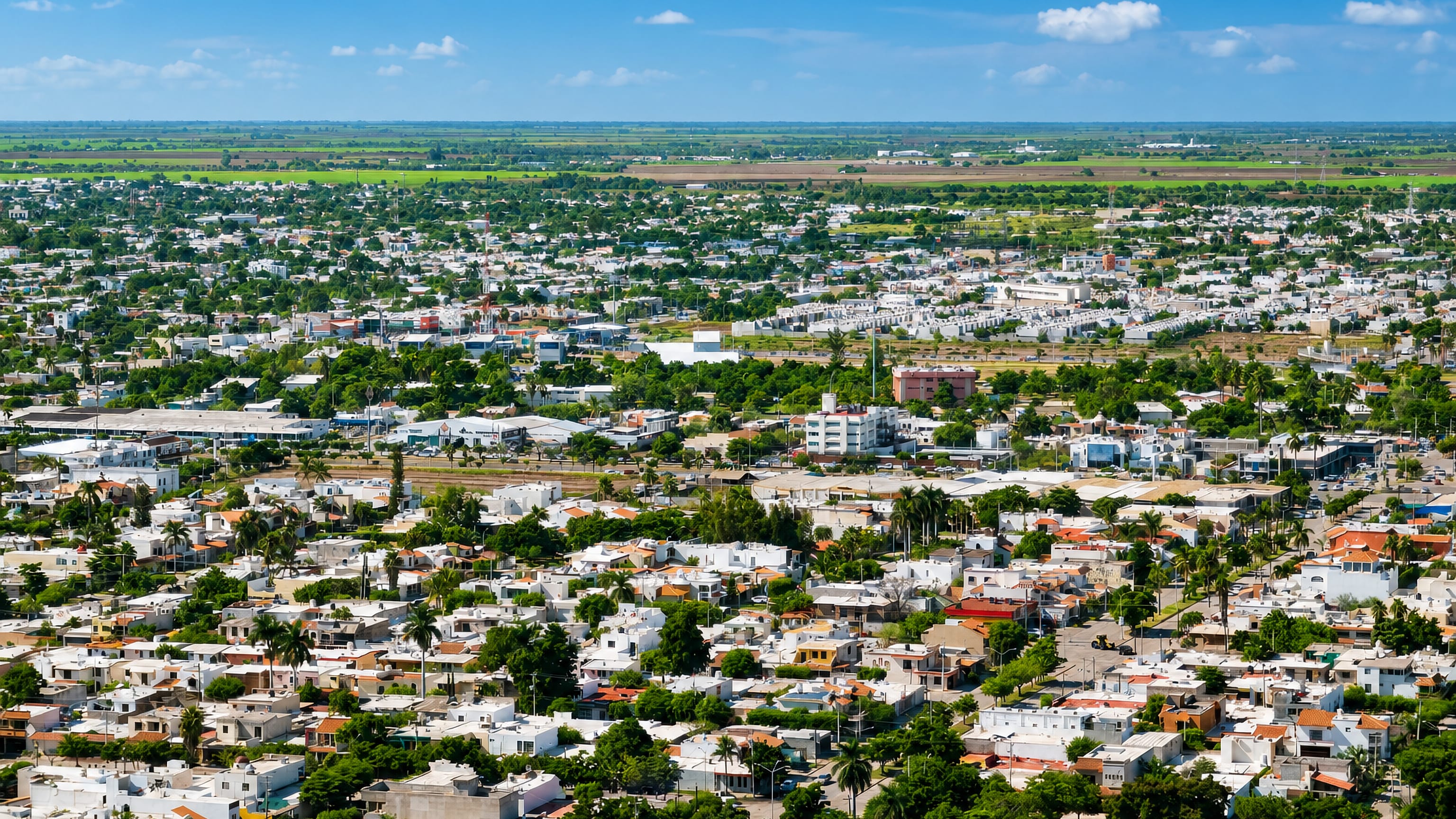 Los Mochis, Mexico, a flat expanse of low white houses and palms reaching to the green farmland of the Sinaloa valley.