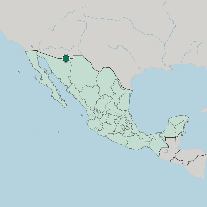 Map showing Agua Prieta — In Mexico