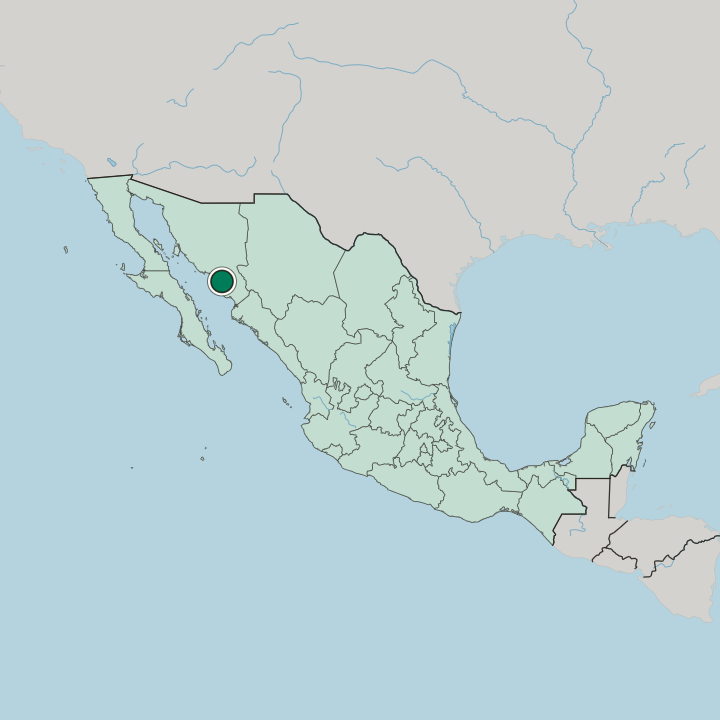 Map showing Ciudad Obregón — In Mexico