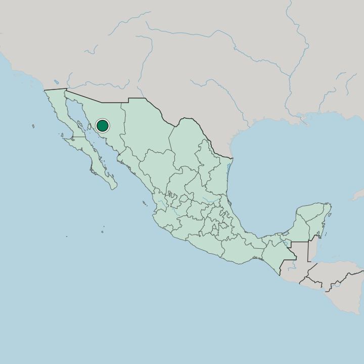 Map showing Pitic — In Mexico
