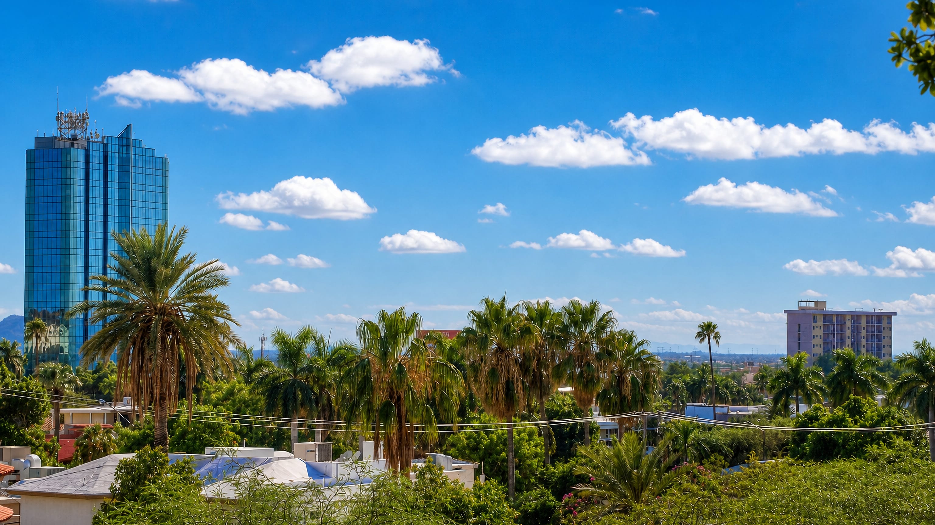 Blue glass tower rising above palms and low rooftops in Hermosillo, Sonora, with hills on the far horizon.