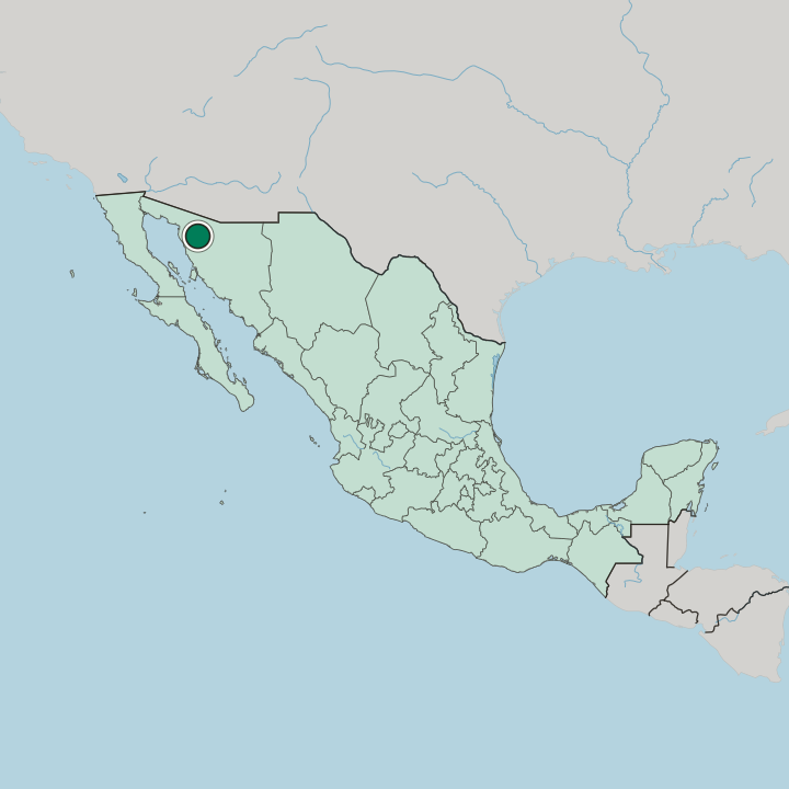 Map showing Heroica Caborca — In Mexico
