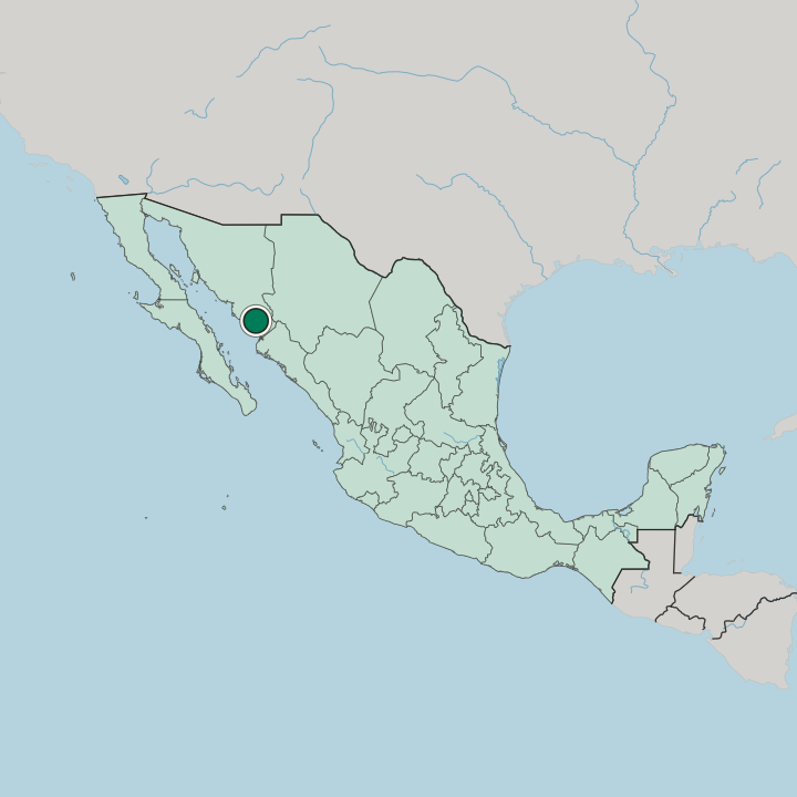 Map showing Navojoa — In Mexico