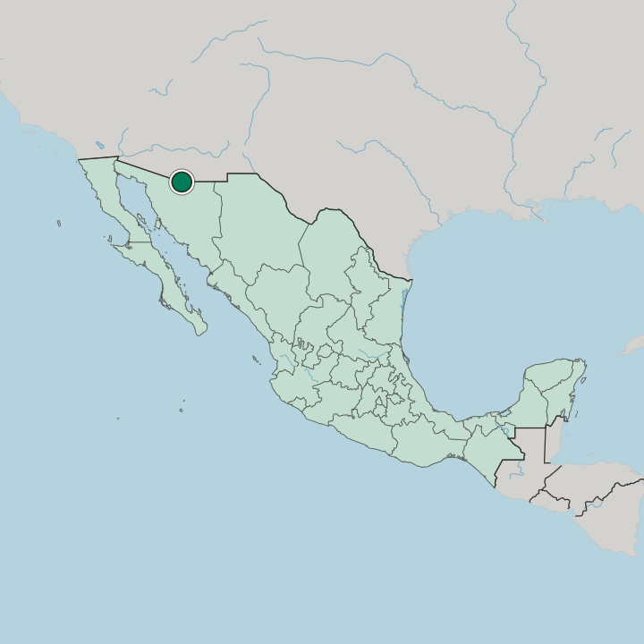Map showing Nogales — In Mexico