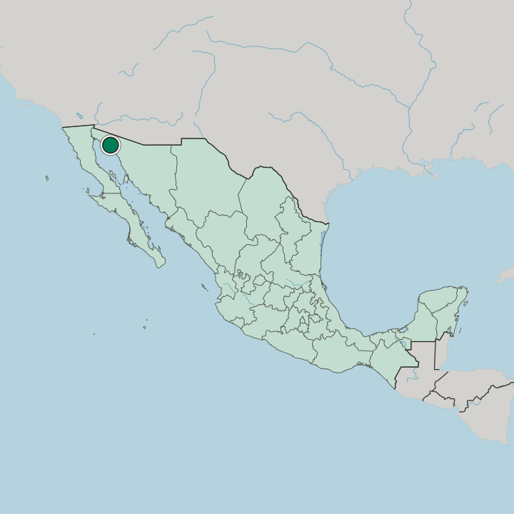 Map showing Puerto Peñasco — In Mexico