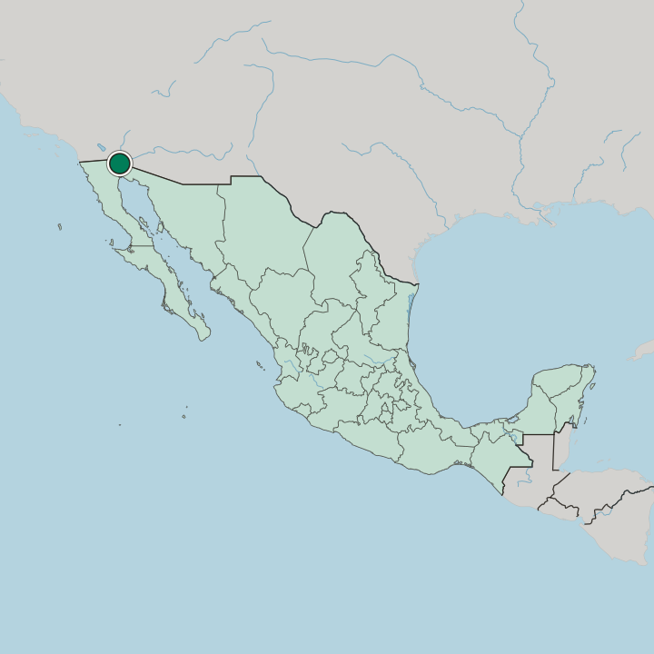 Map showing San Luis Río Colorado — In Mexico