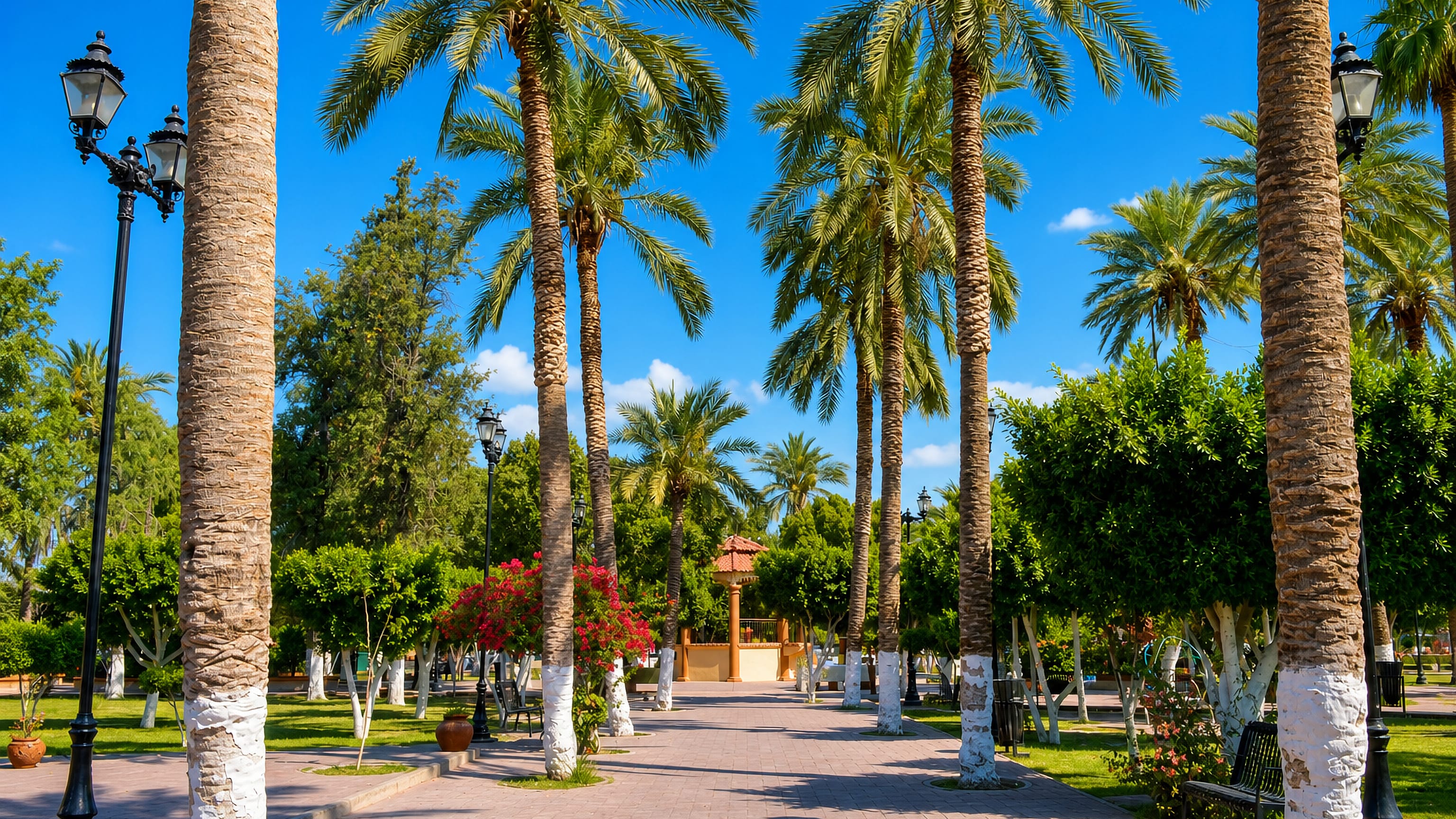 Palm-lined plaza walkway with a kiosk and flowering bougainvillea in San Luis Rio Colorado, Mexico.