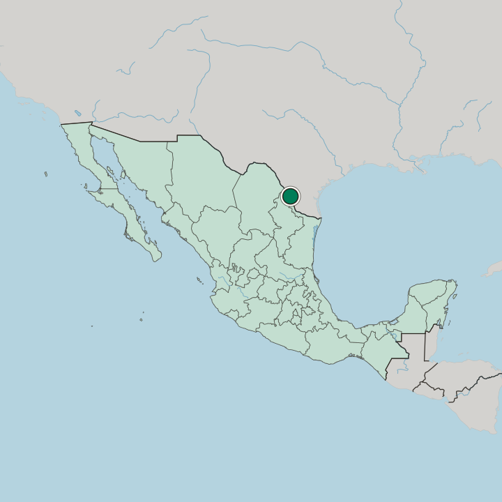 Map showing Nuevo Laredo — In Mexico