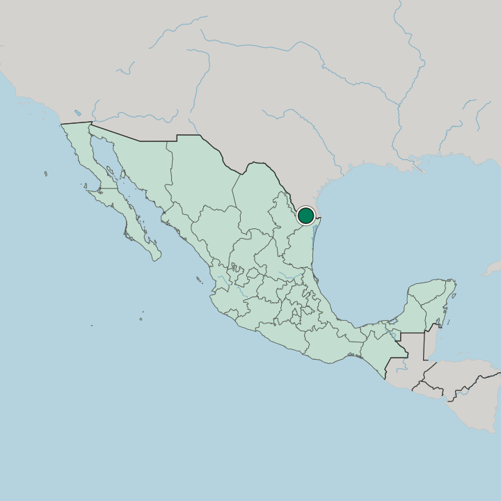 Map showing Reynosa — In Mexico