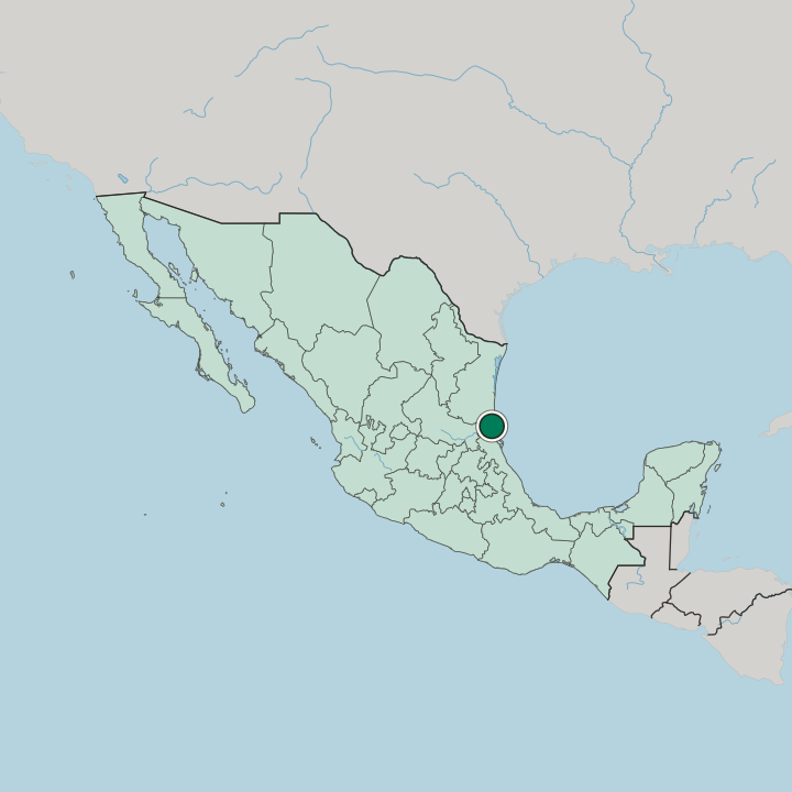 Map showing Tampico — In Mexico