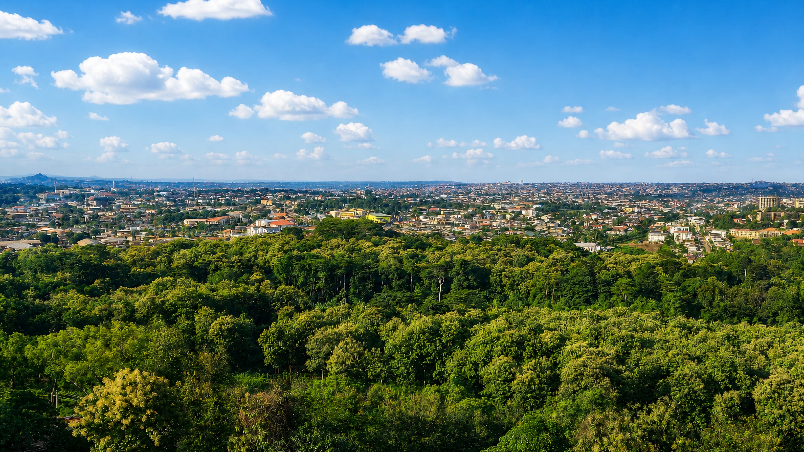 Ibadan's low-rise sprawl stretching to the horizon beyond a dense green tree canopy.
