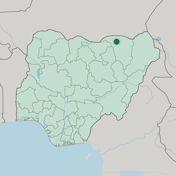 Map showing Gashua — In Nigeria