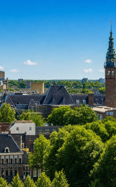 Groningen's old-town rooftops and church towers rising above leafy trees under a summer sky.