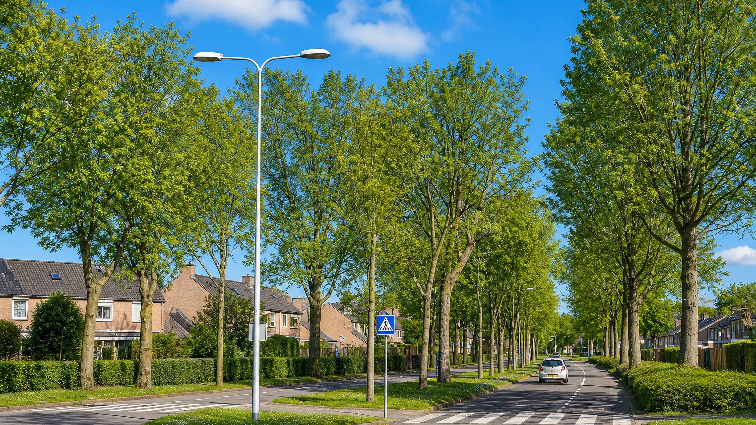 Tree-lined avenue of brick houses and clipped hedges in De Heeg, a southern suburb of Maastricht.