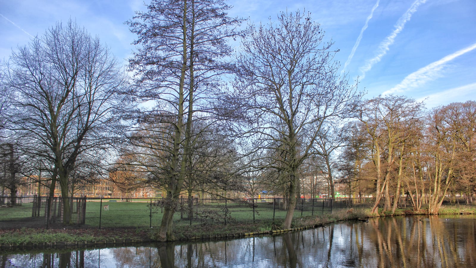 Haagse Hout
