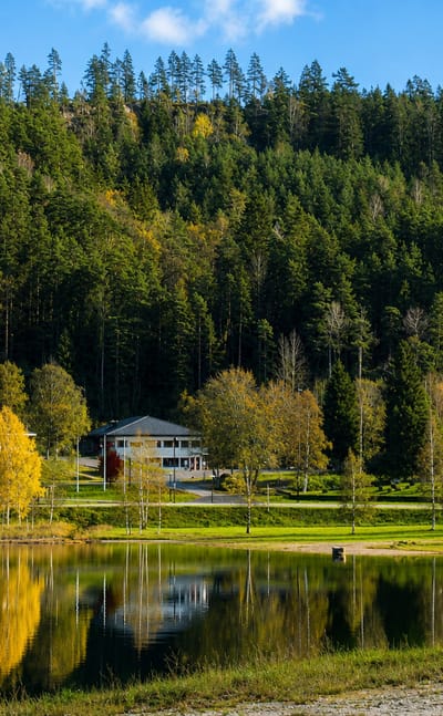 White lakeside church and timber houses below forested hills at Birketveit, Norway, mirrored in the calm lake