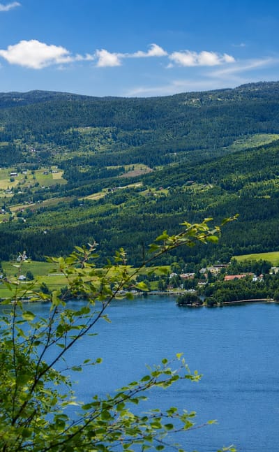 Forested hills and green farmland around Byglandsfjorden lake with a small lakeside settlement at Bygland, Norway