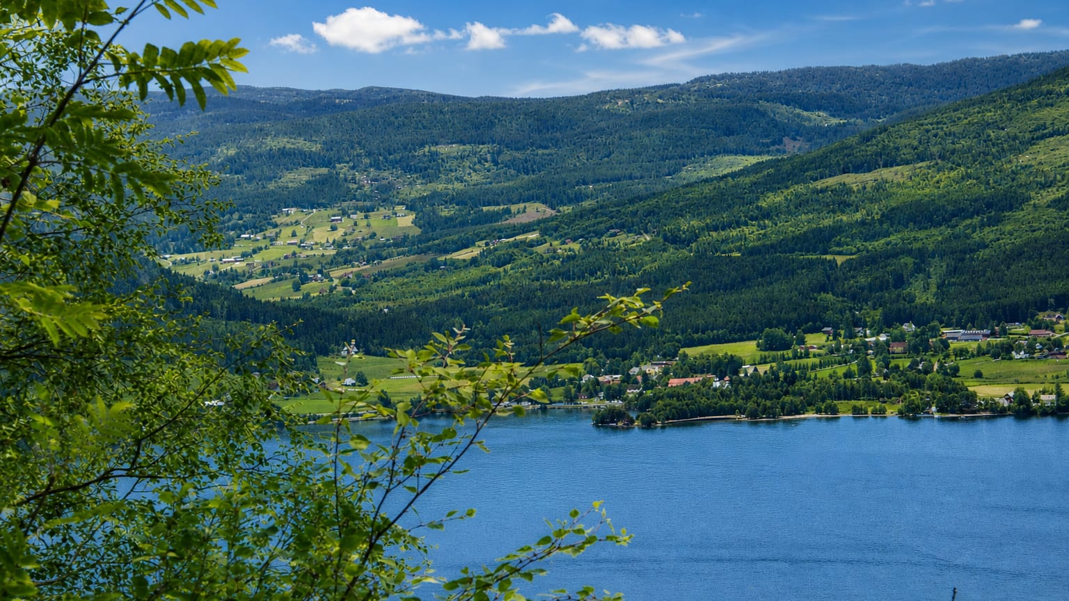 Forested hills and green farmland around Byglandsfjorden lake with a small lakeside settlement at Bygland, Norway