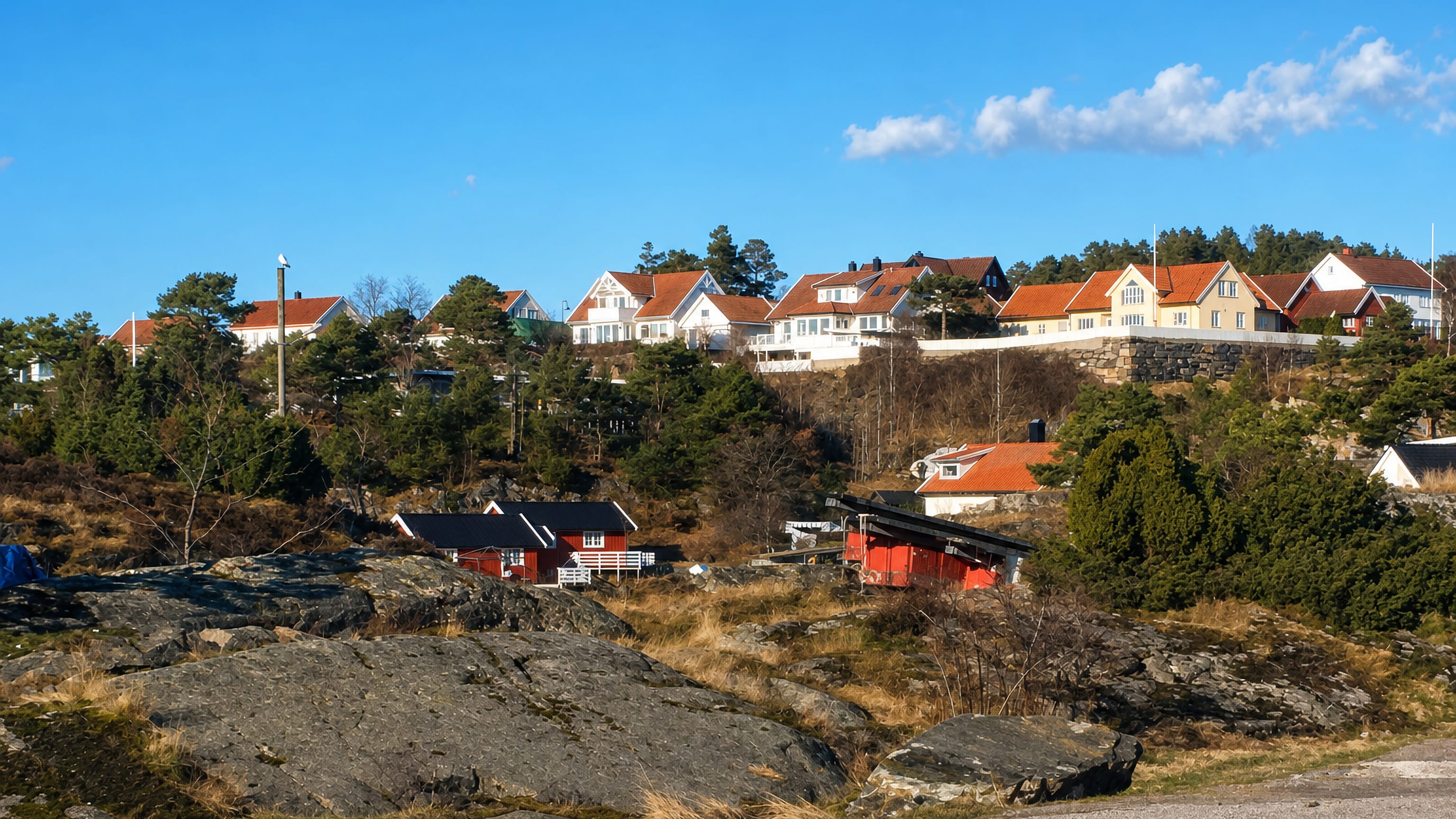 Timber houses above coastal bedrock and pines at Tommersto on the eastern edge of Kristiansand.