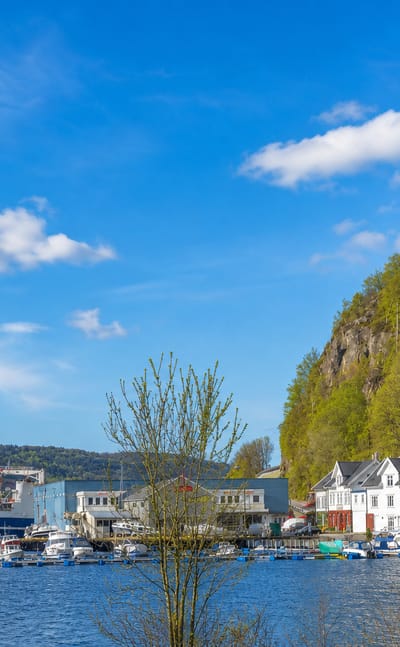 Waterside harbour with white and red houses, boats and a ship below a green hillside in Lyngdal, Norway.