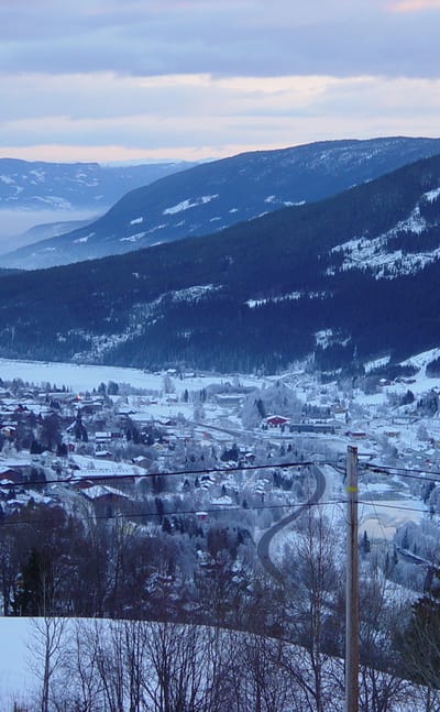 Ål
