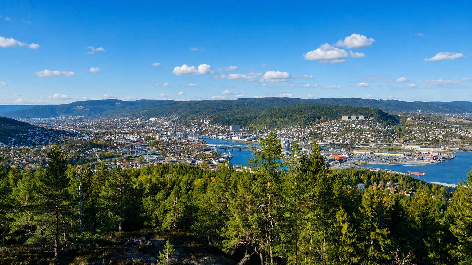 Aerial view of Drammen, Norway, spread across a river valley below forested hills under a blue sky