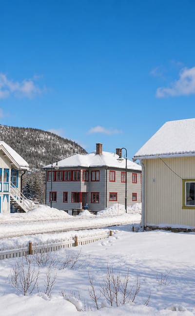 Snow-covered wooden houses along a street with forested hills behind in the winter village of Hemsedal, Norway.