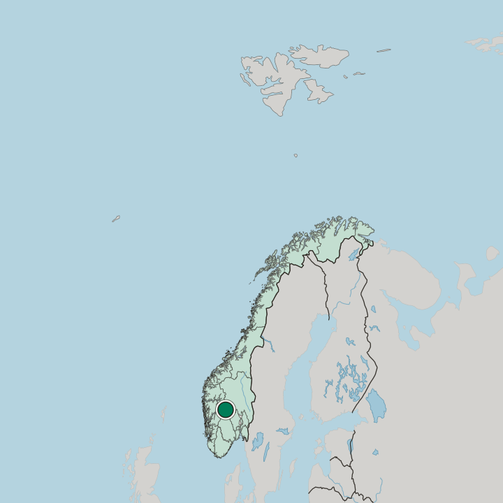 Map showing Hol — In Norway