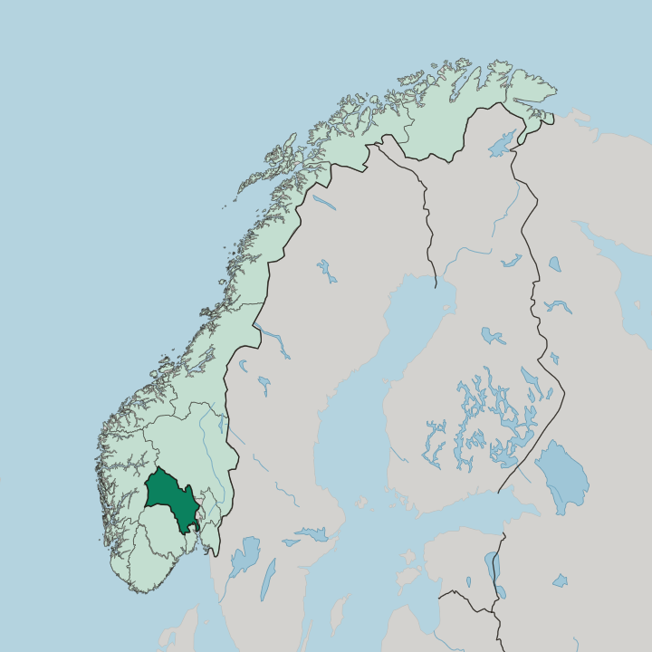 Map showing Buskerud fylke — In Norway
