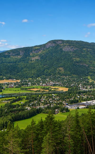 The village of Nesbyen spread across the Hallingdal valley floor beside its river, framed by forested mountains, Norway.