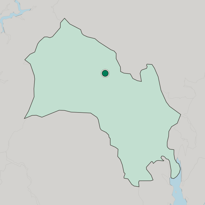 Map showing Nesbyen — In Buskerud fylke