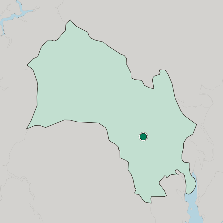 Map showing Prestfoss — In Buskerud fylke