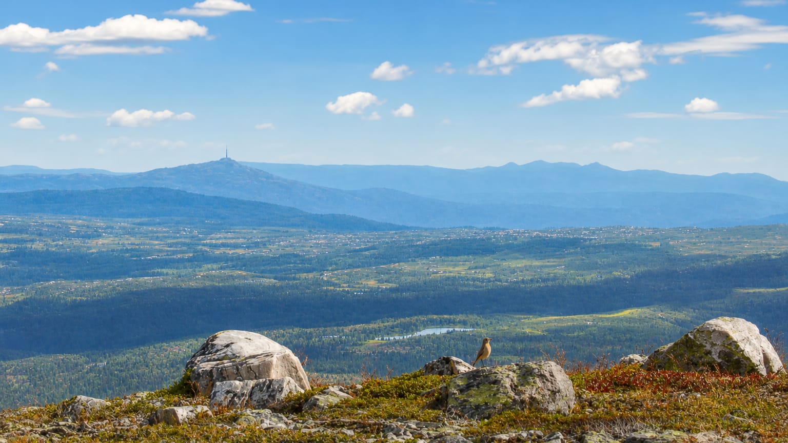 Rocky mountain summit above the forested Numedal valley and distant blue ridges near Rollag, Norway, under a bright summer sky.
