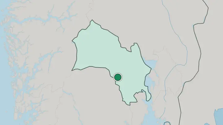 Map of Rollag in Norway