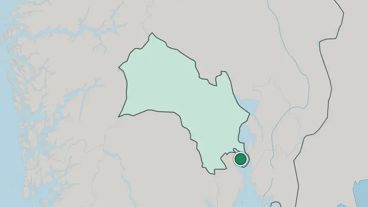 Map of Svelvik in Norway