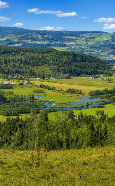 Green valley with farmland and a winding river below forested hills near Dokka in Innlandet, Norway, under a blue sky.