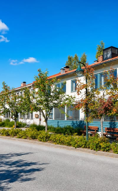 Quiet street with a long timber building and berry-laden rowan trees in Koppang, Norway