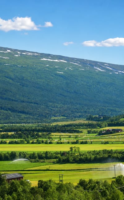 Green valley farmland at Lesja, Norway, framed by forested, snow-streaked mountains under a blue summer sky.