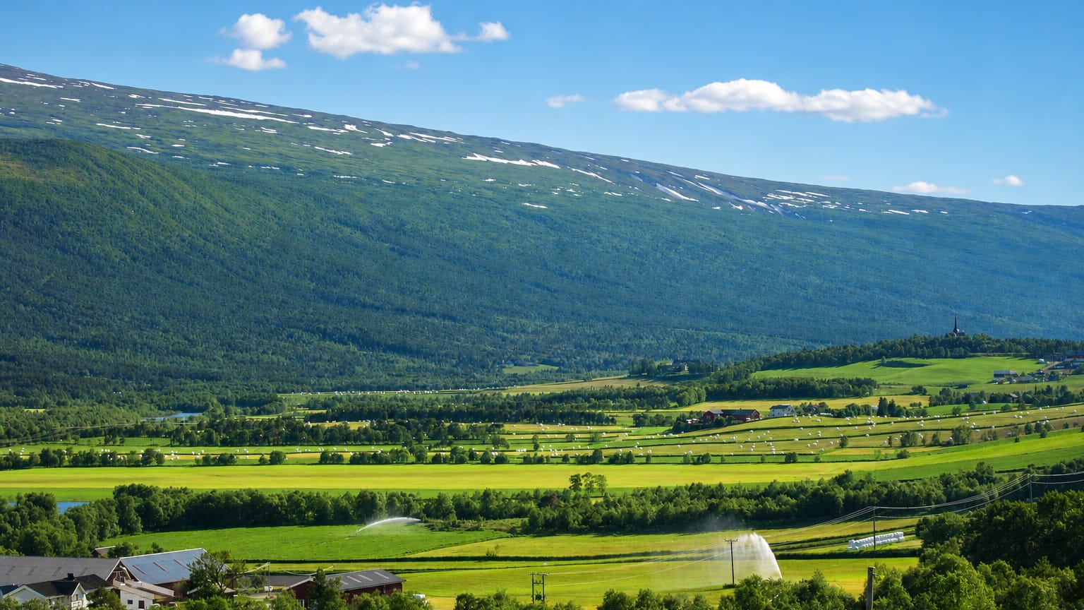 Green valley farmland at Lesja, Norway, framed by forested, snow-streaked mountains under a blue summer sky.