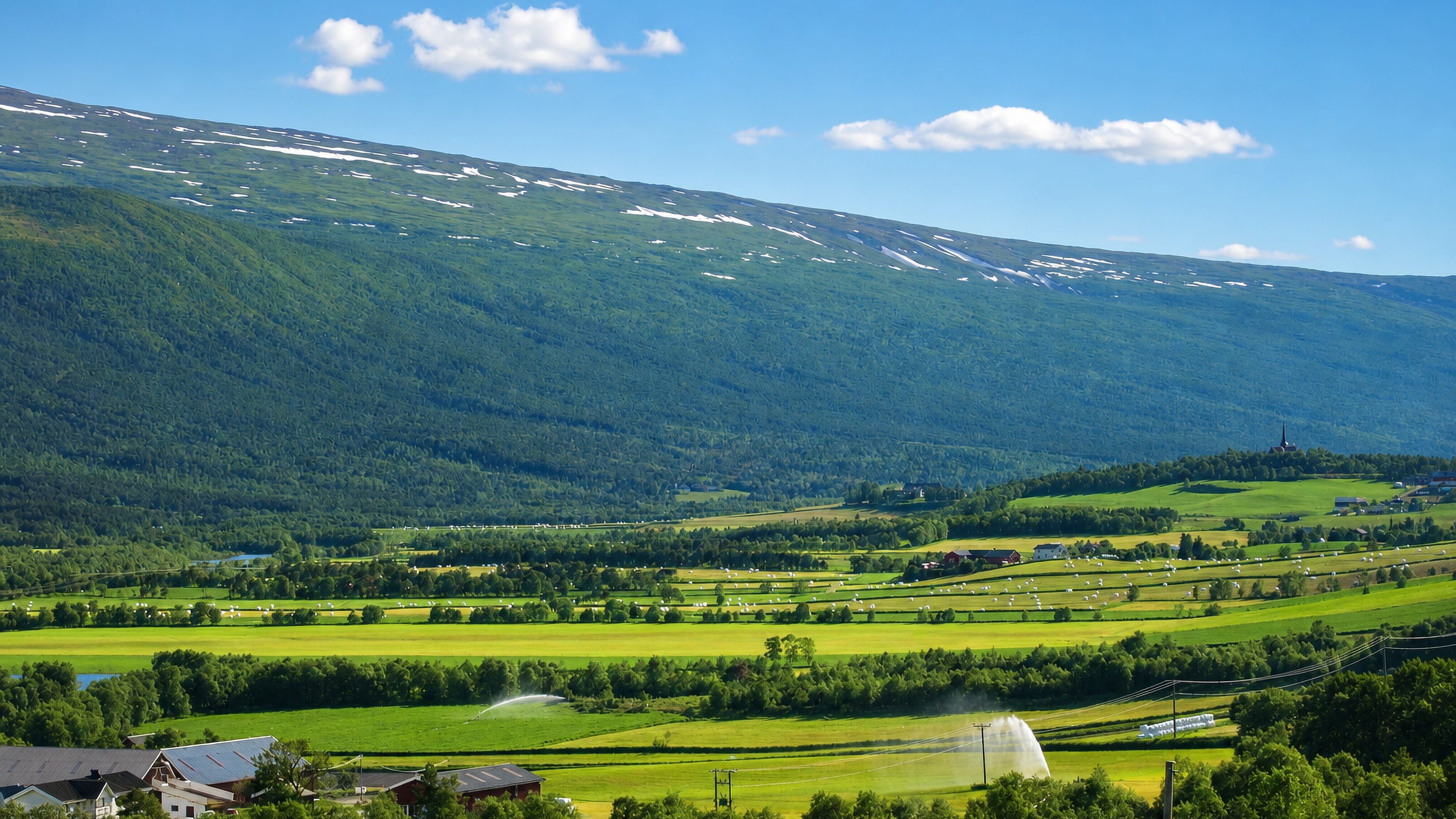 Green valley farmland at Lesja, Norway, framed by forested, snow-streaked mountains under a blue summer sky.